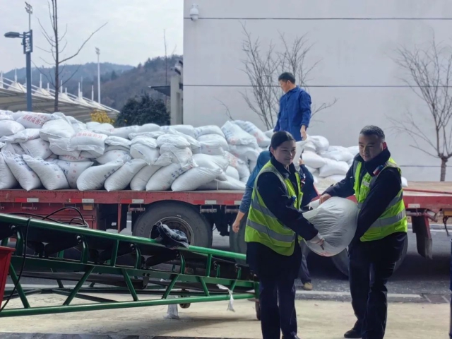 1734002475436276.jpg 08.jpg