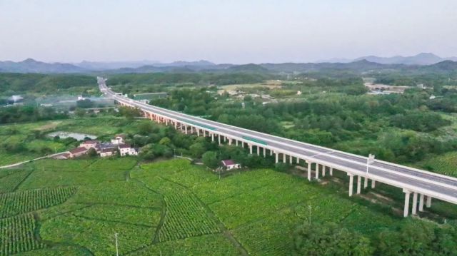 1754878747688561.jpg 01.jpg