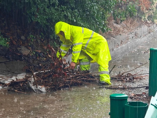 1754962233366044.jpg 02.jpg